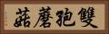 雙孢蘑菇 Horizontal Portrait