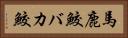 馬鹿鮫 Horizontal Portrait