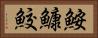 鮟鱇鮫 Horizontal Portrait