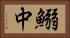 鰯中 Horizontal Portrait