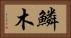 鱗木 Horizontal Portrait