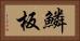 鱗板 Horizontal Portrait