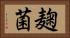 麹菌 Horizontal Portrait