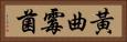 黃曲霉菌 Horizontal Portrait