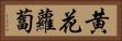黄花蘿蔔 Horizontal Portrait