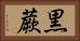 黒蕨 Horizontal Portrait