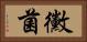 黴菌 Horizontal Portrait