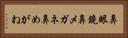 鼻眼鏡 Horizontal Portrait