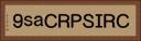 ＣＲＩＳＰＲ／Ｃａｓ９ Horizontal Portrait