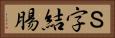 Ｓ字結腸 Horizontal Portrait