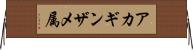 アカギンザメ属 Horizontal Wall Scroll