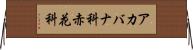 アカバナ科 Horizontal Wall Scroll