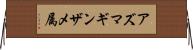 アズマギンザメ属 Horizontal Wall Scroll