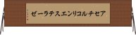 アセチルコリンエステラーゼ Horizontal Wall Scroll
