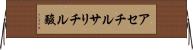 アセチルサリチル酸 Horizontal Wall Scroll