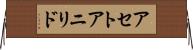 アセトアニリド Horizontal Wall Scroll