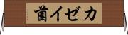 カゼイ菌 Horizontal Wall Scroll