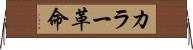 カラー革命 Horizontal Wall Scroll