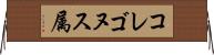 コレゴヌス属 Horizontal Wall Scroll