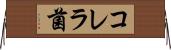 コレラ菌 Horizontal Wall Scroll