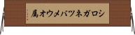 シロガネツバメウオ属 Horizontal Wall Scroll