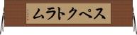スペクトラム Horizontal Wall Scroll