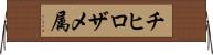 チヒロザメ属 Horizontal Wall Scroll
