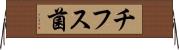 チフス菌 Horizontal Wall Scroll