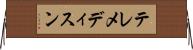 テレメディスン Horizontal Wall Scroll