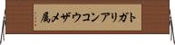 トガリアンコウザメ属 Horizontal Wall Scroll