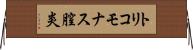 トリコモナス膣炎 Horizontal Wall Scroll