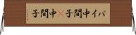 パイ中間子 Horizontal Wall Scroll