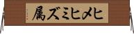 ヒメヒミズ属 Horizontal Wall Scroll