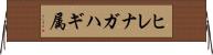 ヒレナガハギ属 Horizontal Wall Scroll