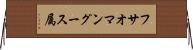 フサオマングース属 Horizontal Wall Scroll