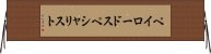 ペイロード・スペシャリスト Horizontal Wall Scroll