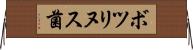 ボツリヌス菌 Horizontal Wall Scroll