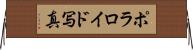 ポラロイド写真 Horizontal Wall Scroll