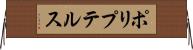 ポリプテルス Horizontal Wall Scroll