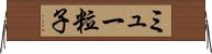 ミュー粒子 Horizontal Wall Scroll