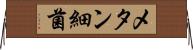 メタン細菌 Horizontal Wall Scroll