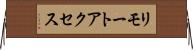 リモートアクセス Horizontal Wall Scroll