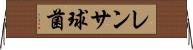レンサ球菌 Horizontal Wall Scroll