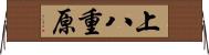上八重原 Horizontal Wall Scroll