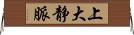 上大静脈 Horizontal Wall Scroll