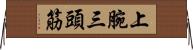 上腕三頭筋 Horizontal Wall Scroll