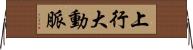 上行大動脈 Horizontal Wall Scroll