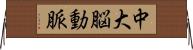 中大脳動脈 Horizontal Wall Scroll