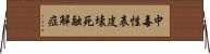 中毒性表皮壊死融解症 Horizontal Wall Scroll