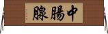 中腸腺 Horizontal Wall Scroll